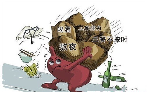 胃癌手术后要怎样调养身体呢？