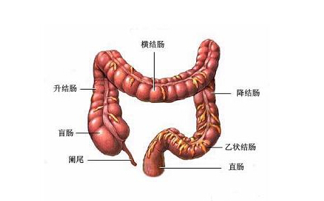 年轻结直肠癌：散发还是遗传？