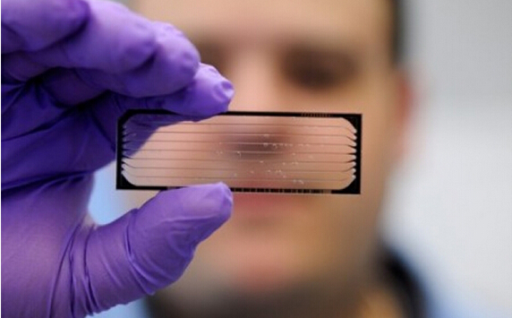 美国将启动精准医学临床试验 用基因疗法治疗癌症