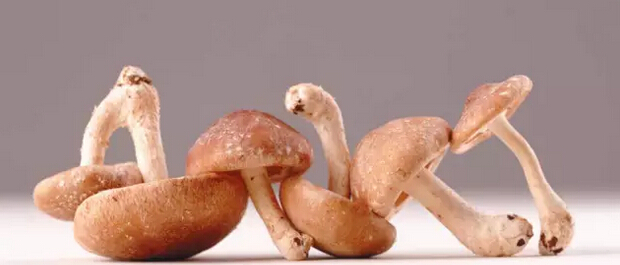 抗癌食物-癌症康复乐园