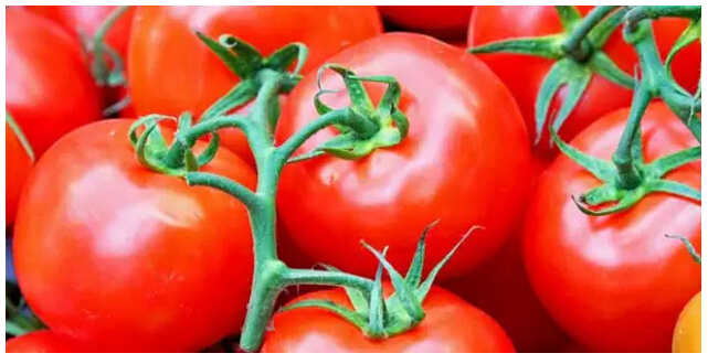 抗癌食物-癌症康复乐园