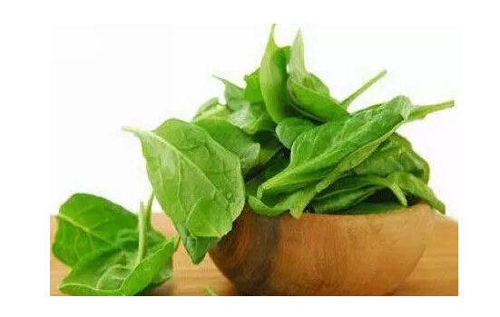 抗癌食物-癌症康复乐园