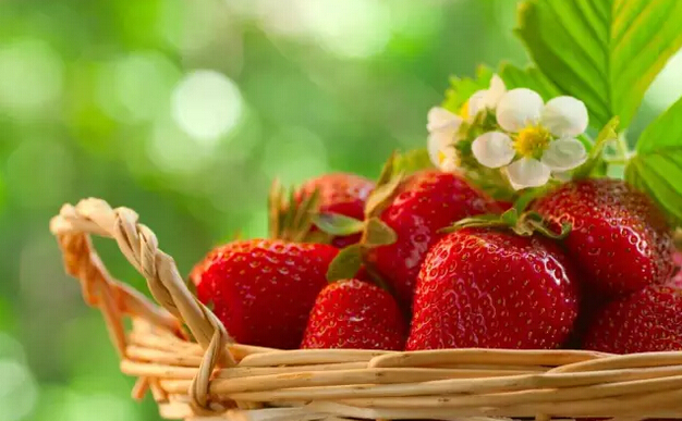 抗癌食物-癌症康复乐园