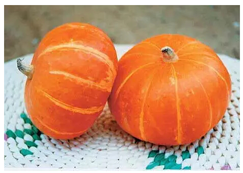 抗癌食物-癌症康复乐园