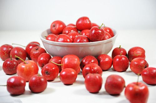 康复乐园 抗癌食疗  