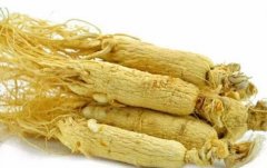 抗癌食疗:补药,补身还是补瘤?