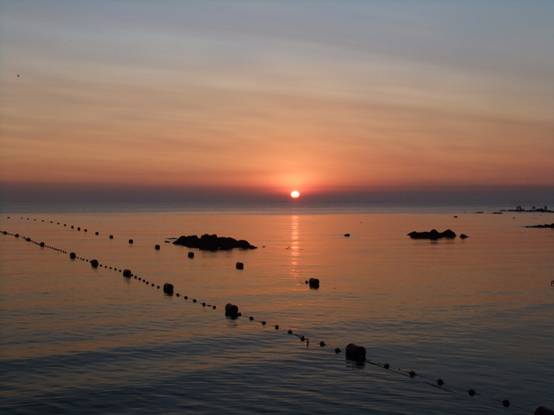 康复乐园 北戴河肿瘤疗养营