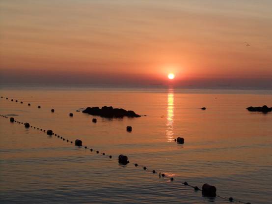 康复乐园 北戴河肿瘤疗养营