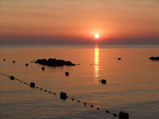 康复乐园 北戴河肿瘤疗养营