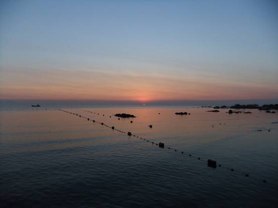 康复乐园 北戴河肿瘤疗养营