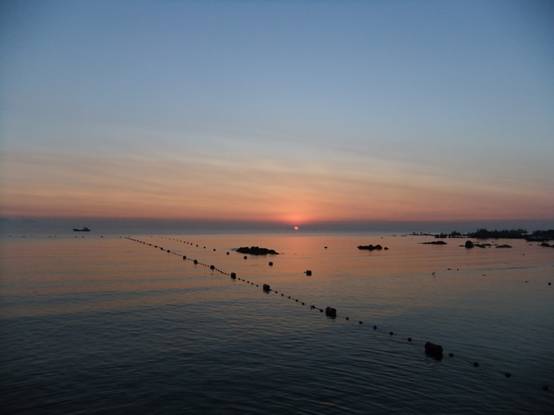 康复乐园 北戴河肿瘤疗养营