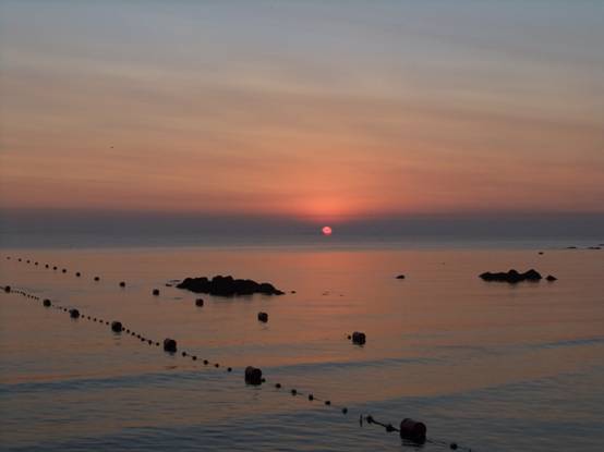 康复乐园 北戴河肿瘤疗养营