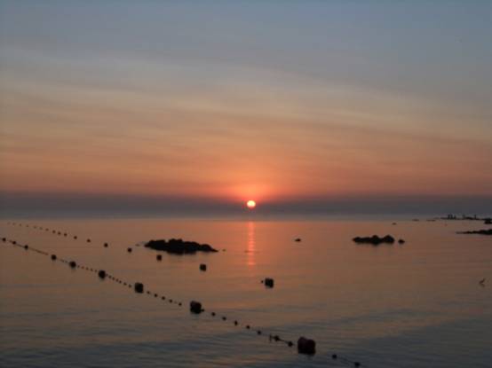 康复乐园 北戴河肿瘤疗养营