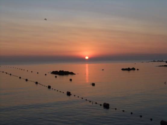 康复乐园 北戴河肿瘤疗养营