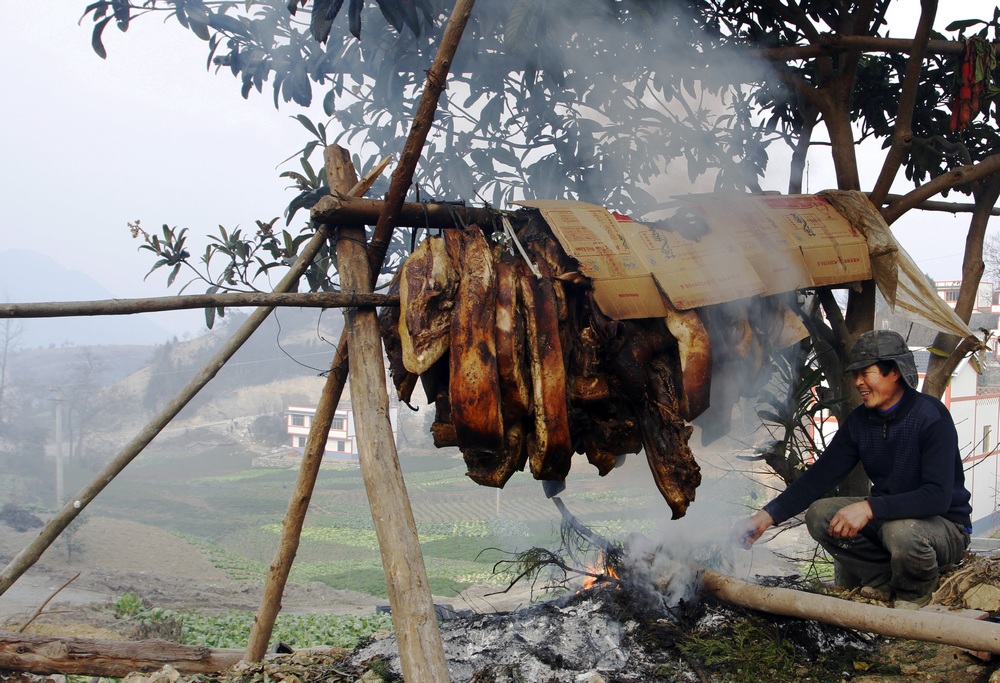 康复乐园 癌症饮食