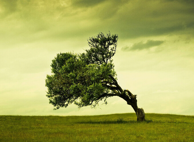 癌症治疗：应从“零和”博弈中走出