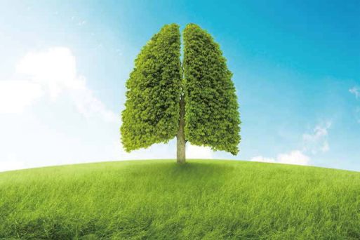 肺癌为何不容易早期发现