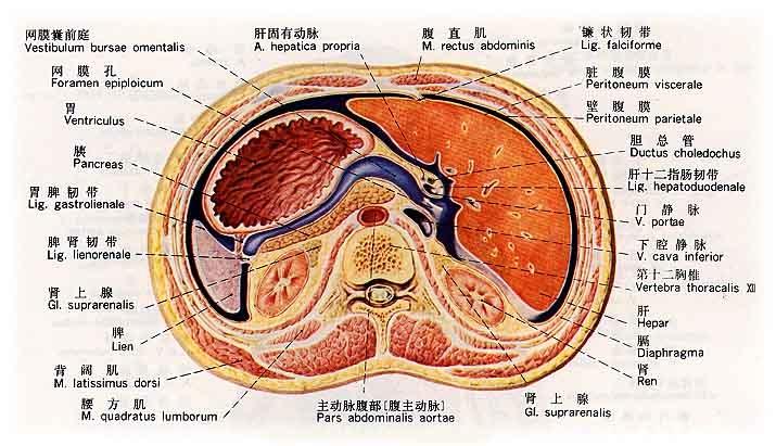 腹膜后肿瘤需要个性化综合治疗