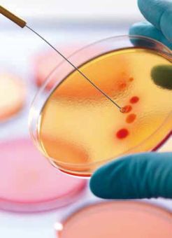 病理诊断是诊断肿瘤的“金标准