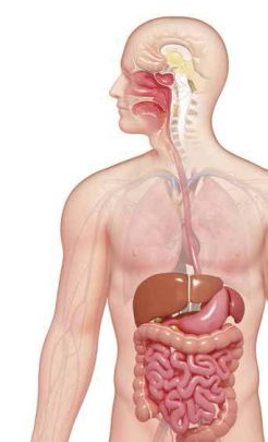 消化系统癌症患者的饮食调养