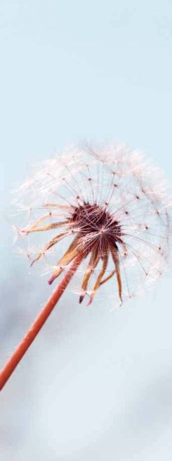 缓和医疗：肿瘤治疗从面对死亡从对抗到和解