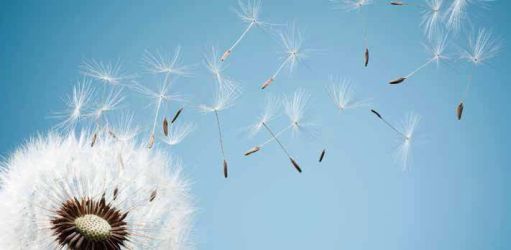 缓和医疗：肿瘤治疗从面对死亡从对抗到和解