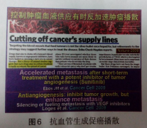 斩尽杀绝与改造癌症